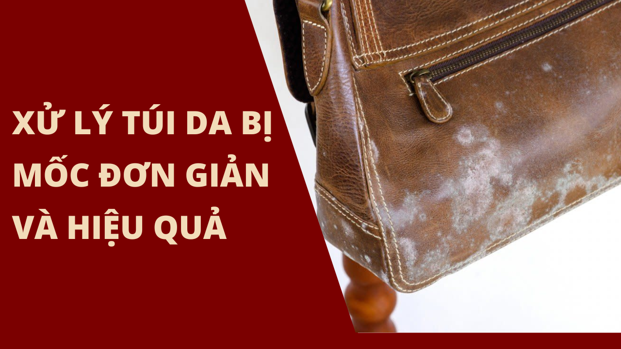 5 cách xử lý túi da bị mốc đơn giản trong một nốt nhạc