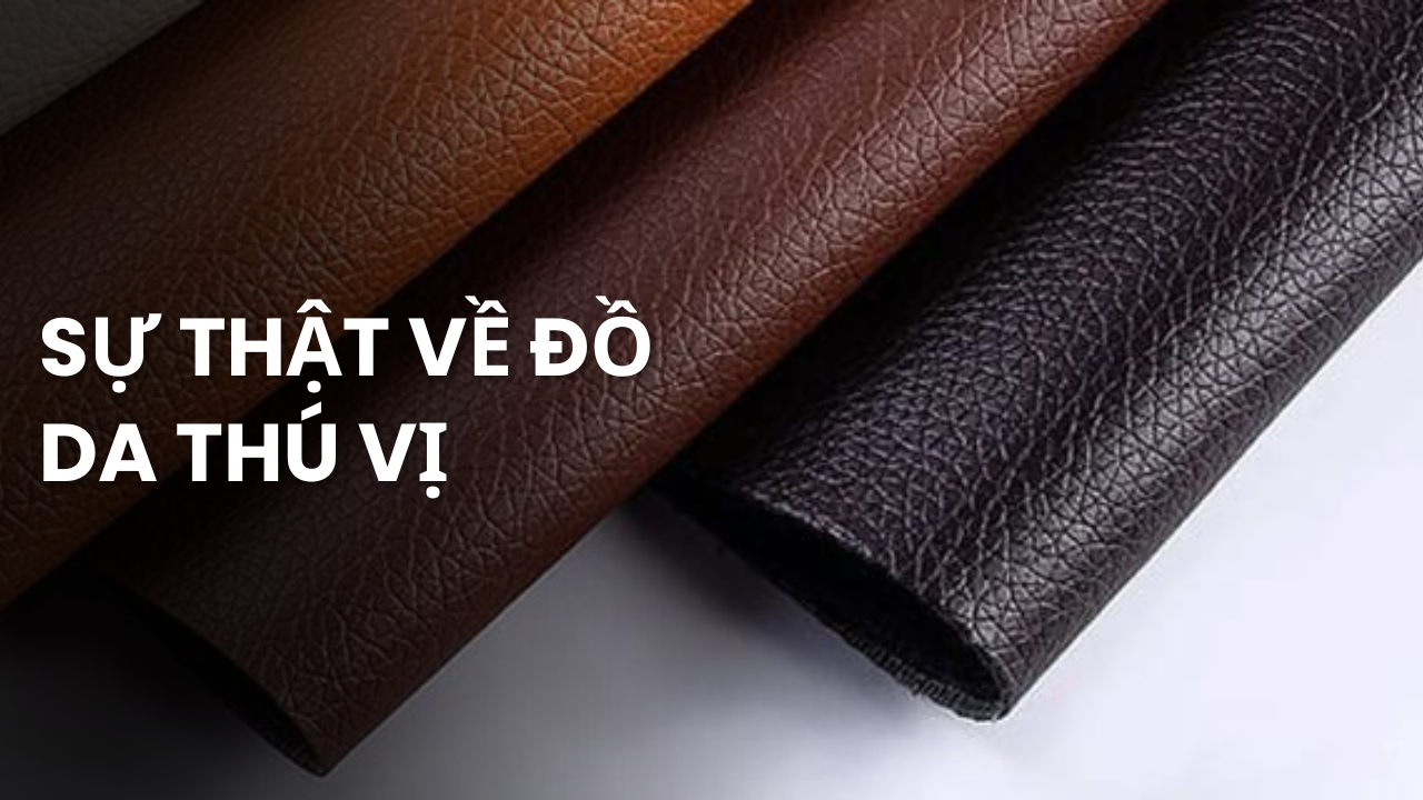 Sự thật về đồ da thú vị: Khám phá những bí mật ít ai biết