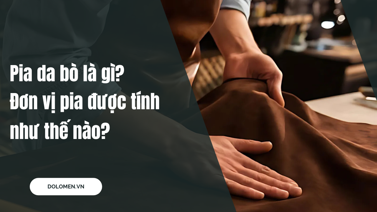 Pia da bò là gì? Đơn vị pia được tính như thế nào?
