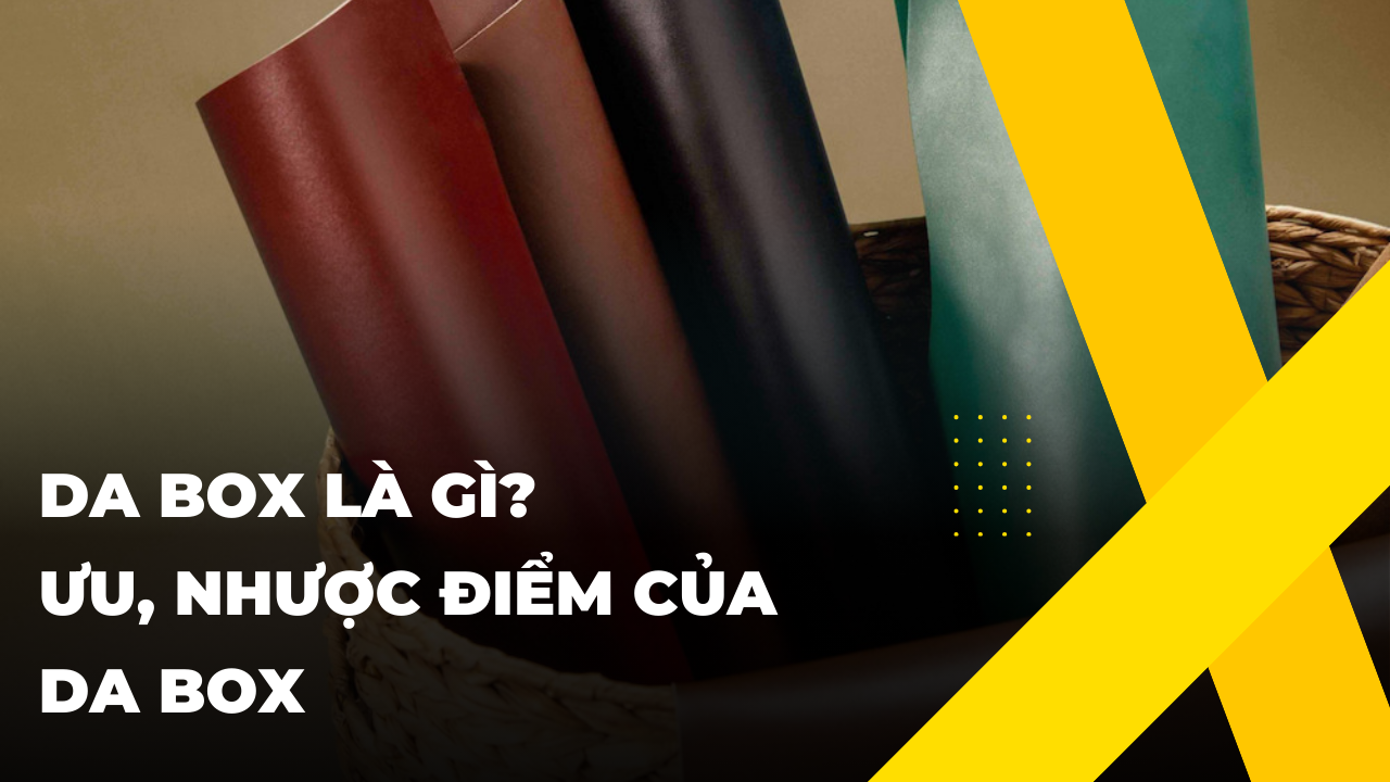 Da box là gì? Tìm hiểu về ưu, nhược điểm của da box