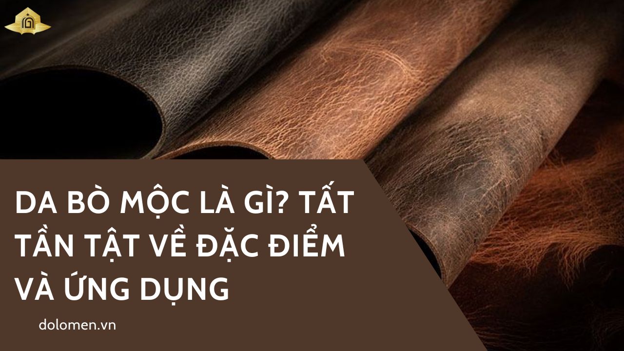 Da bò mộc là gì? Tất tần tật về đặc điểm và ứng dụng