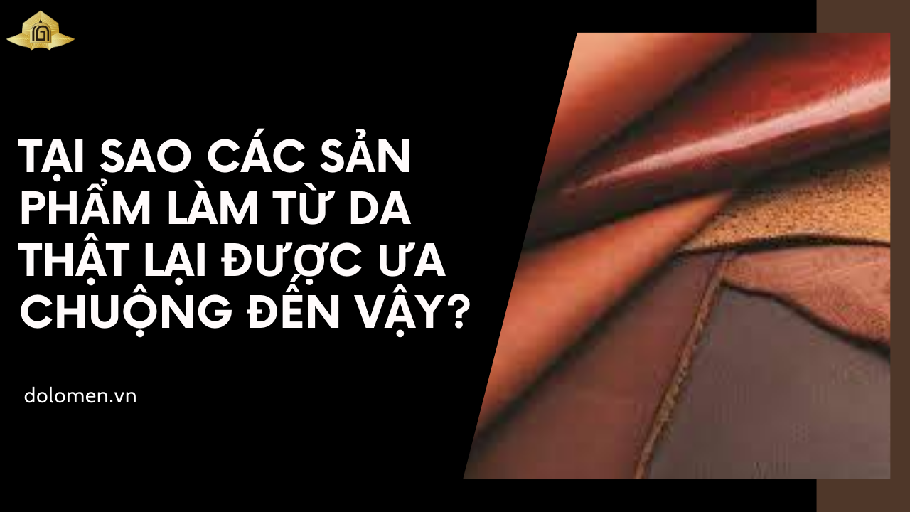 Tại sao các sản phẩm làm từ da thật lại được ưa chuộng đến vậy?