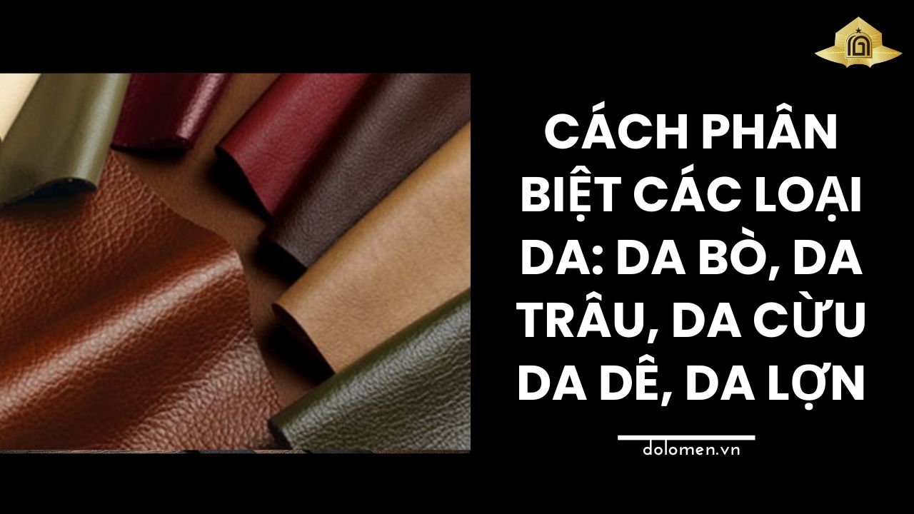 Cách phân biệt các loại da: Da bò, da trâu, da cừu da dê, da lợn