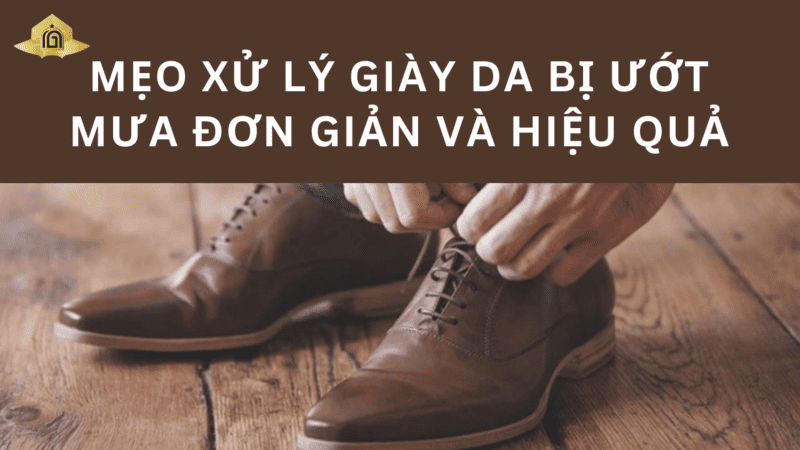 Mẹo xử lý giày da bị ướt mưa đơn giản và hiệu quả