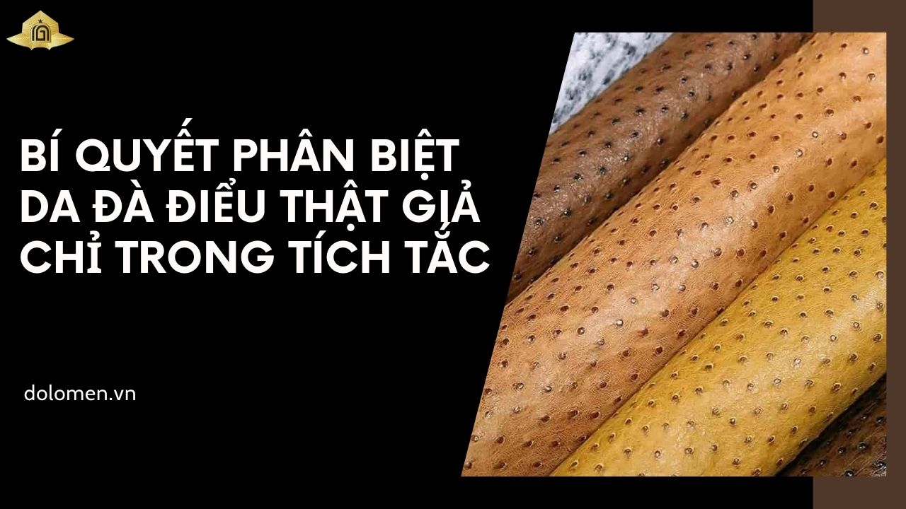 Bí quyết phân biệt da đà điểu thật giả chỉ trong tích tắc