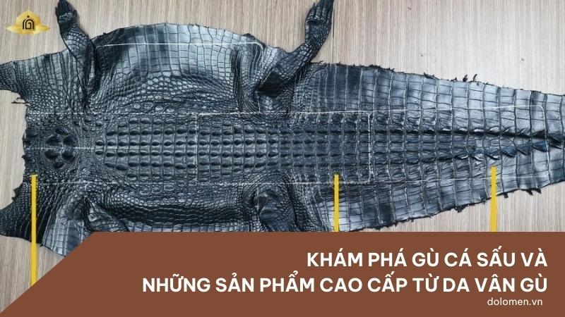 Khám phá gù cá sấu và những sản phẩm cao cấp từ da vân gù