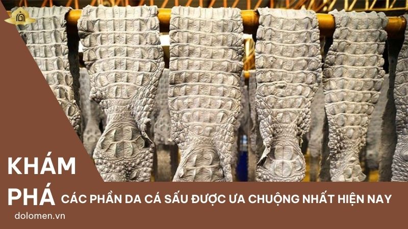 Khám phá các phần da cá sấu được ưa chuộng nhất hiện nay