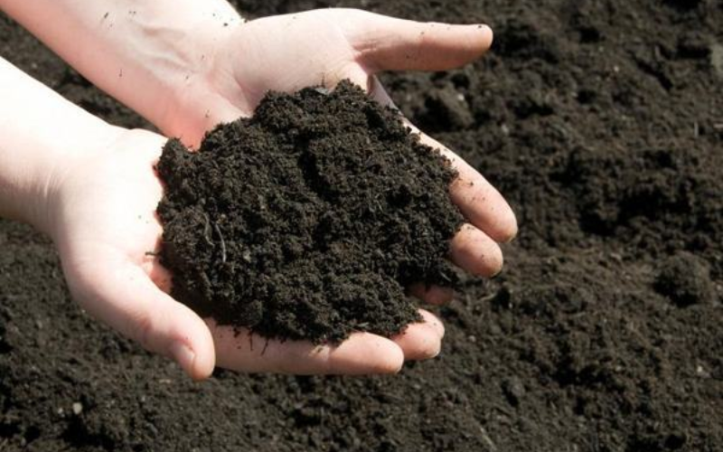 Bỏ gì vào ví để thu hút thật nhiều may mắn tài lộc
