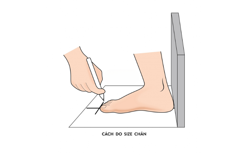 Bảng Size Giày UK Chính Xác Cho Nam, Nữ & Trẻ Em