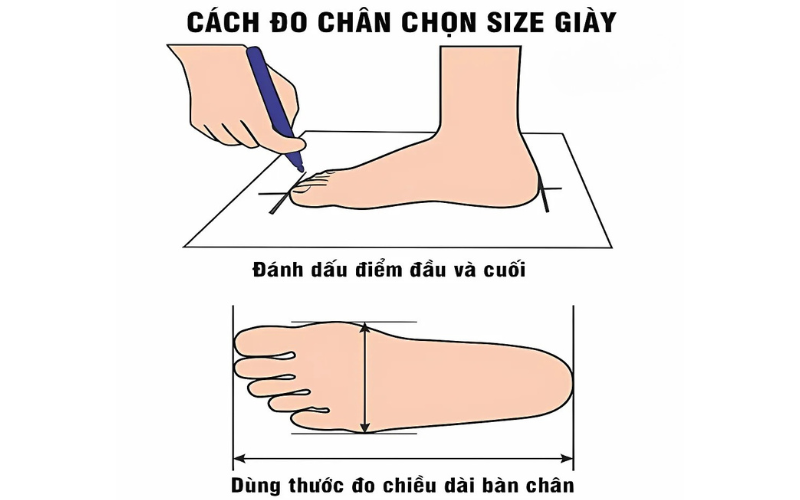 Bảng Size Giày UK Chính Xác Cho Nam, Nữ & Trẻ Em