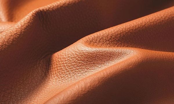 cách phân biệt các loại da