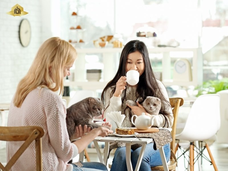 Trang phục Đi cafe cùng đồng nghiệp