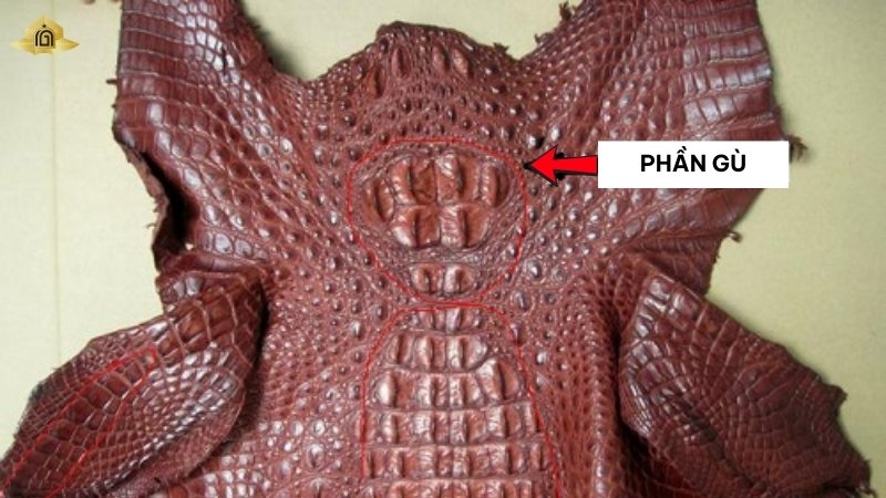 phần gù da cá sấu