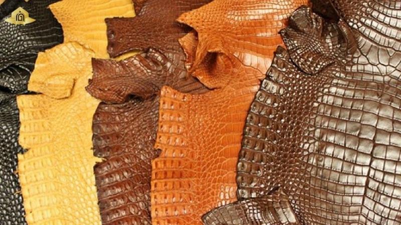 phần da cá sấu được ưa chuộng vì có Giá trị cao trên thị trường