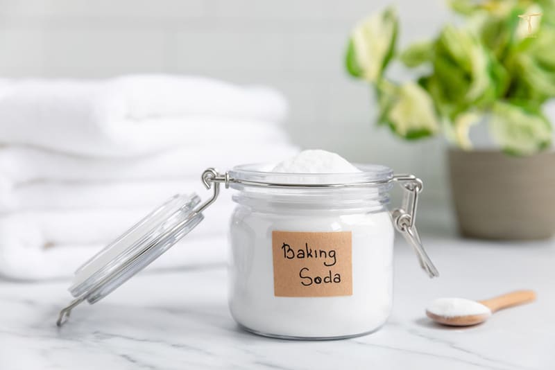 phục hồi túi da cũ 2