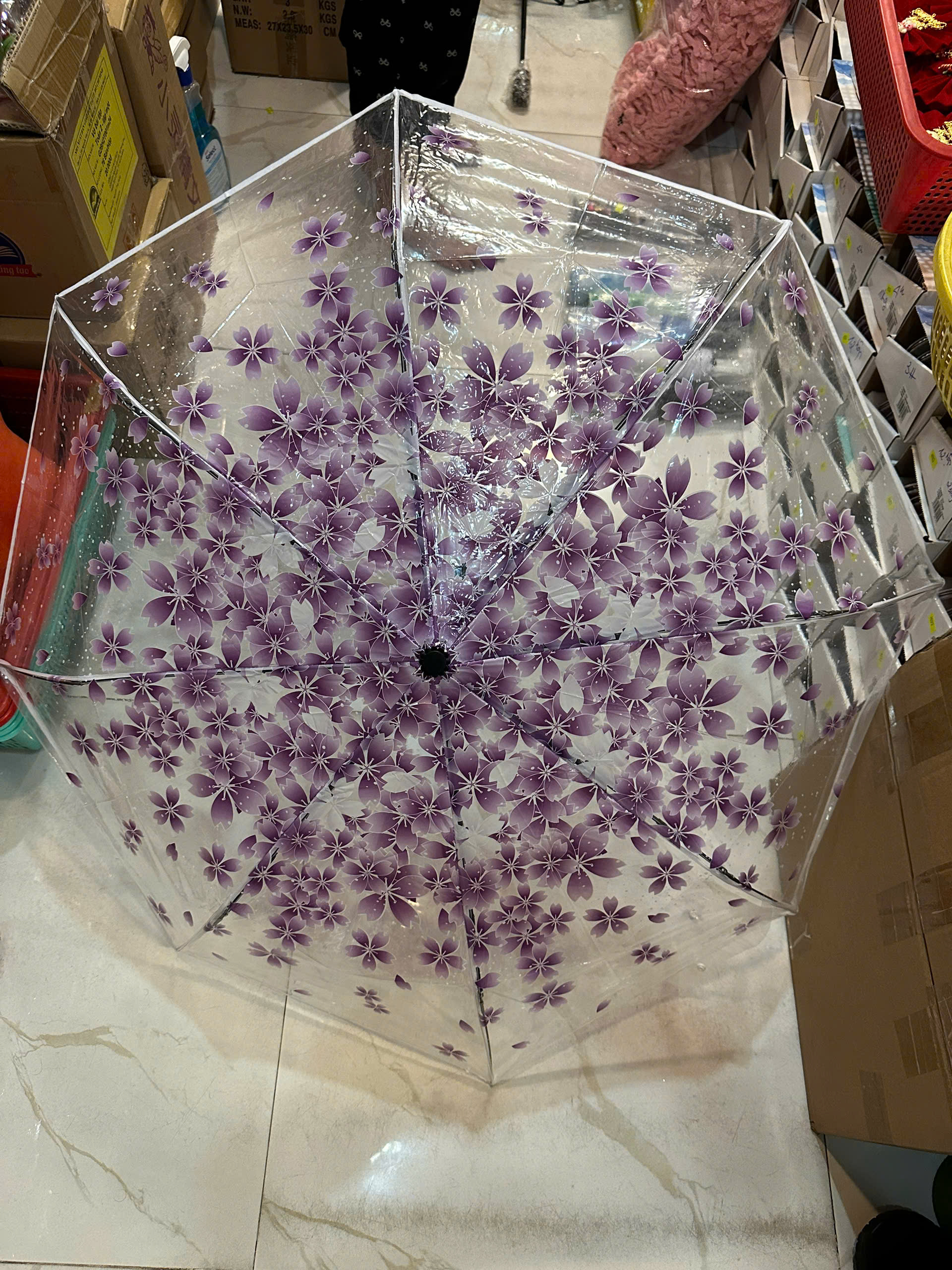 Dù trong suốt 30185