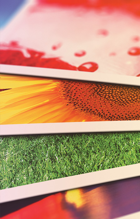 Digital Print Media & Laminates