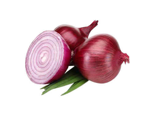 ONION EXTRACT