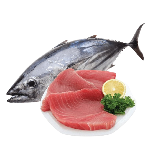 FISH EXTRACT