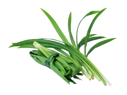 PANDAN FLAVOR
