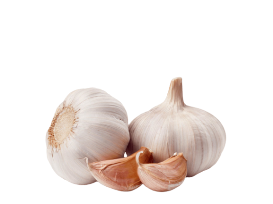 GARLIC EXTRACT