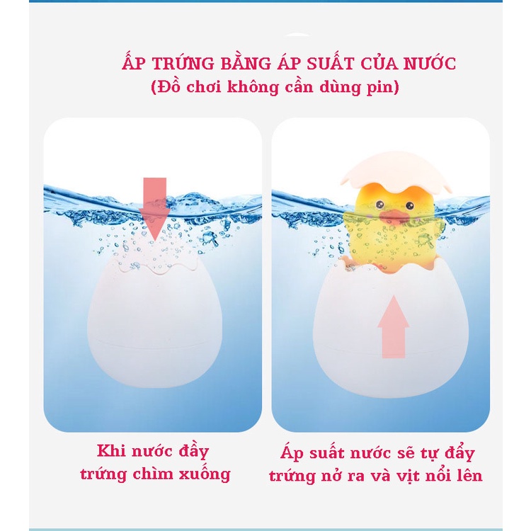 Trứng Khủng long mã X004