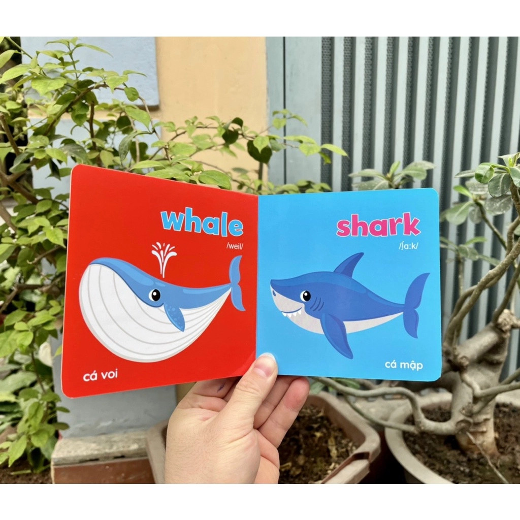 Baby first picture book (bộ sách hình ảnh đầu tiên cho bé về thế giới xung quanh)