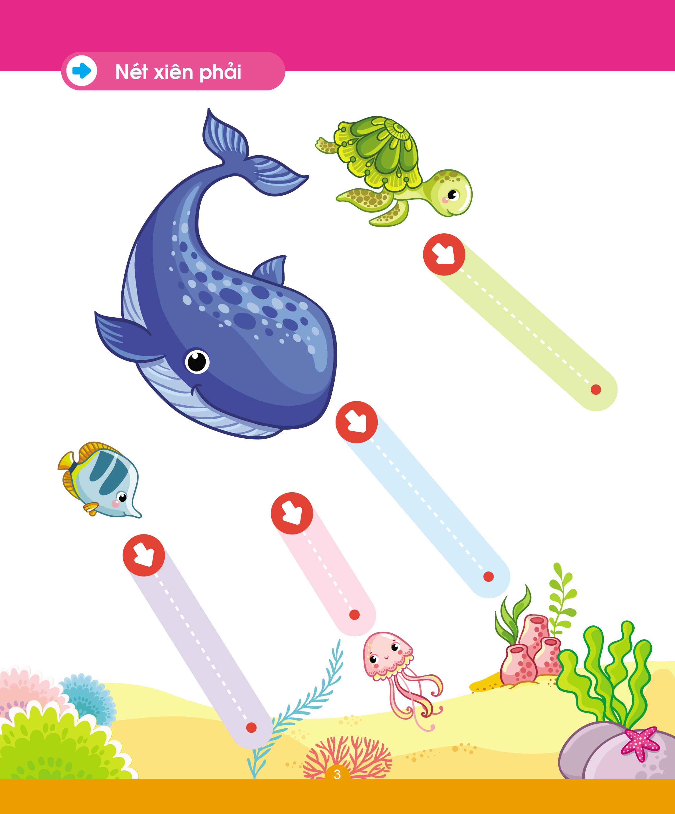 Bộ vở viết xóa được 5 cuốn tặng kèm 2 bút có đầu xóa