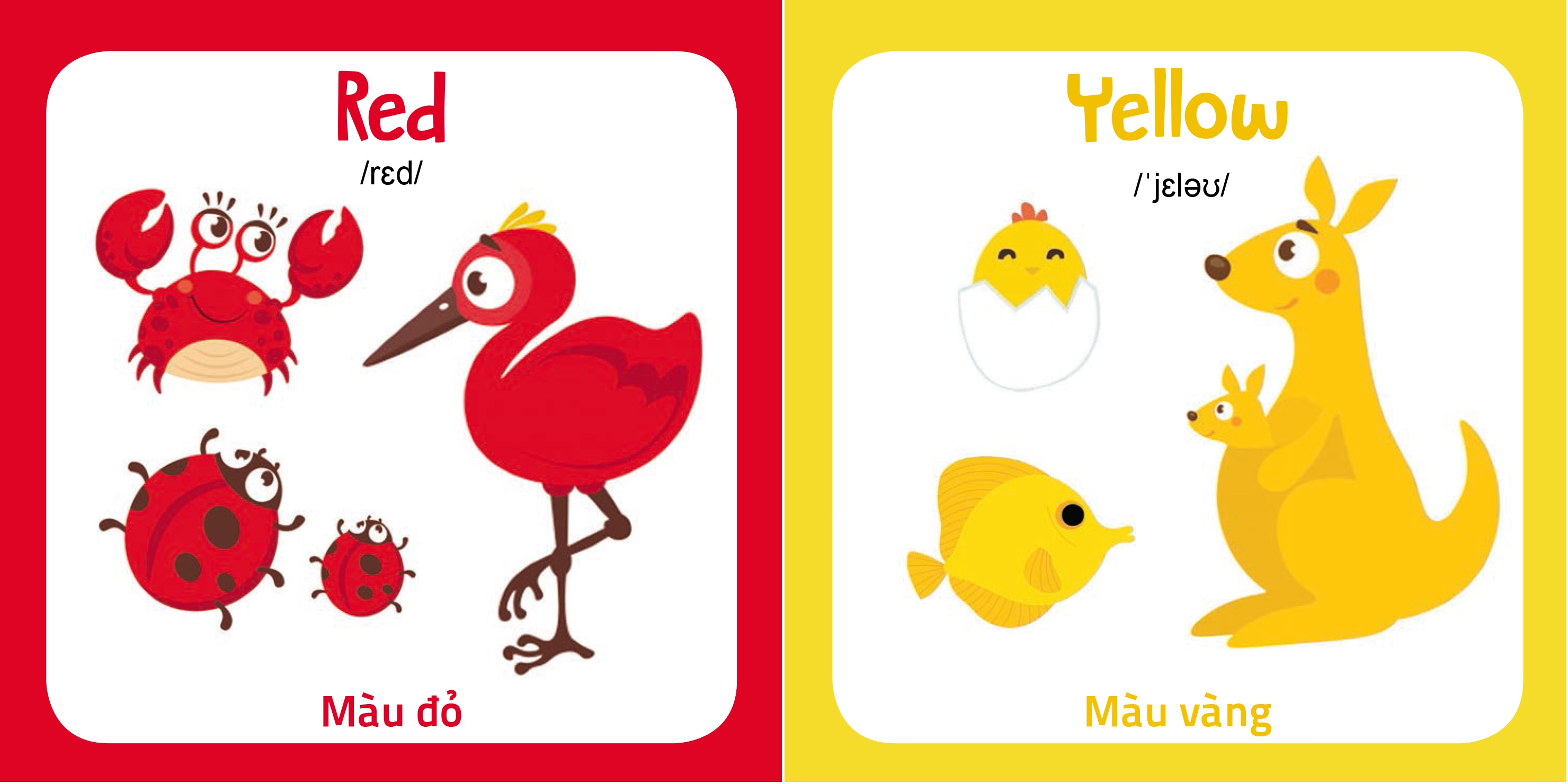 Myfirst picture book (truyện tranh tư duy hình ảnh cho bé bộ 10q)