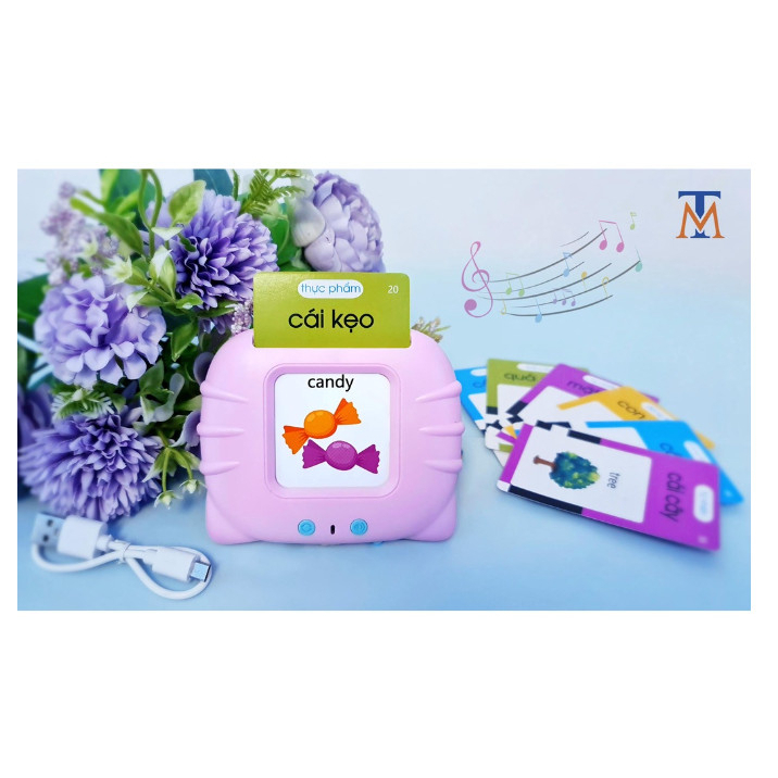Thẻ đọc anh việt X2-255 thẻ (hình mèo) màu xanh, hồng
