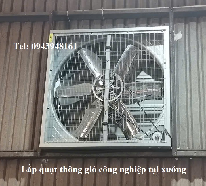 hình ảnh quạt vuông 1100x1100