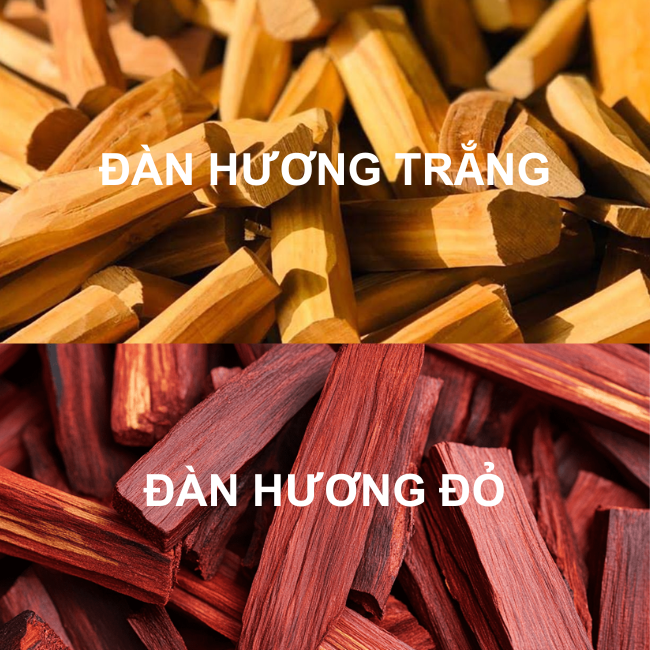 Đàn hương trắng và Đàn hương đỏ khác nhau như thế nào?