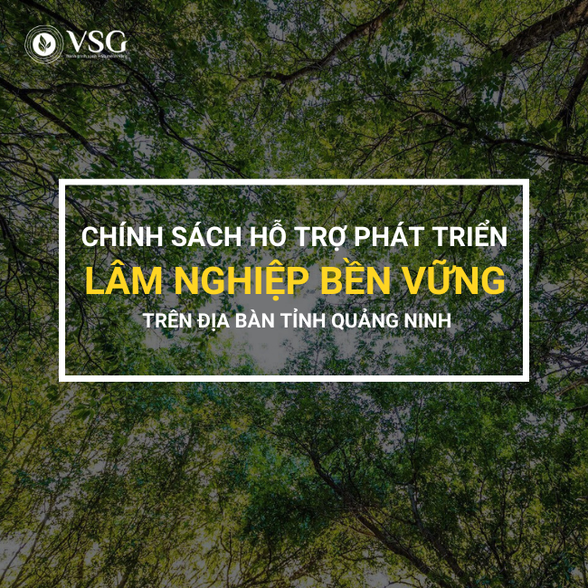 Chính sách hỗ trợ phát triển lâm nghiệp bền vững trên địa bàn tỉnh Quảng Ninh