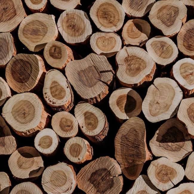 Mùi Đàn hương tự nhiên như thế nào?