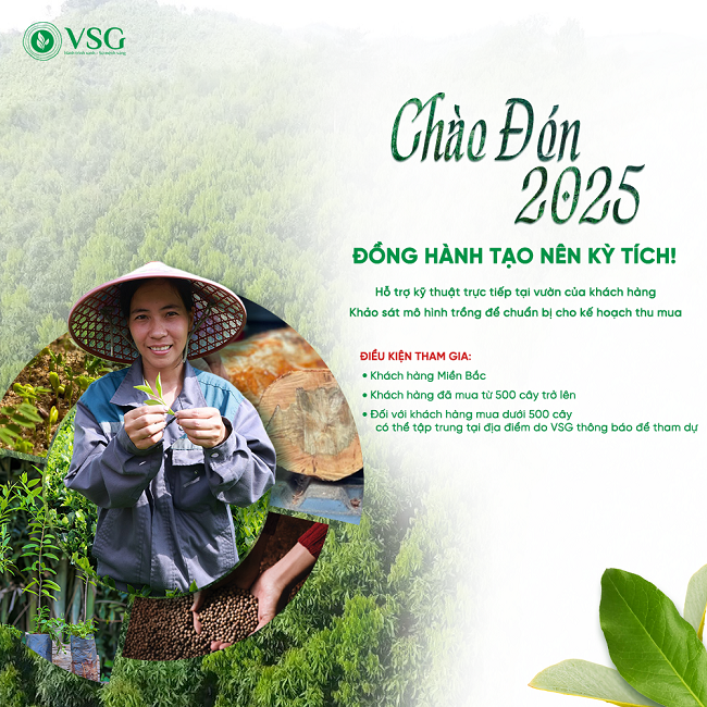Tập đoàn Đàn hương Việt Nam đồng hành bà con phát triển các mô hình trồng Đàn hương bền vững 2025