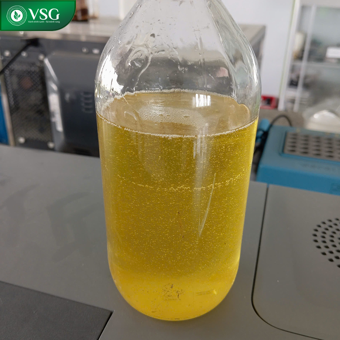 Thành công chiết xuất dầu hạt Đàn hương bằng phương pháp CO2 siêu tới hạn