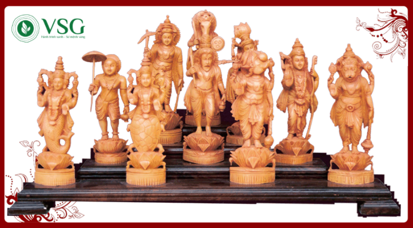 Lịch sử cây Đàn Hương trắng: Từ Ấn Độ Cổ Đại đến Việt Nam hiện đại