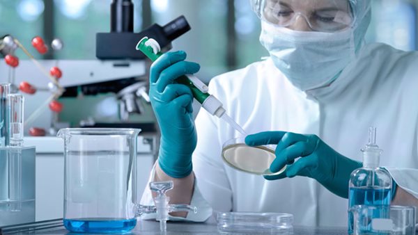 Hoạt Chất α-Santalol Chiết Xuất Từ Gỗ Đàn Hương Tiêu Diệt Các Tế Bào Ung Thư Tuyến Tiền Liệt Bằng Cách Kích Hoạt Caspase-3