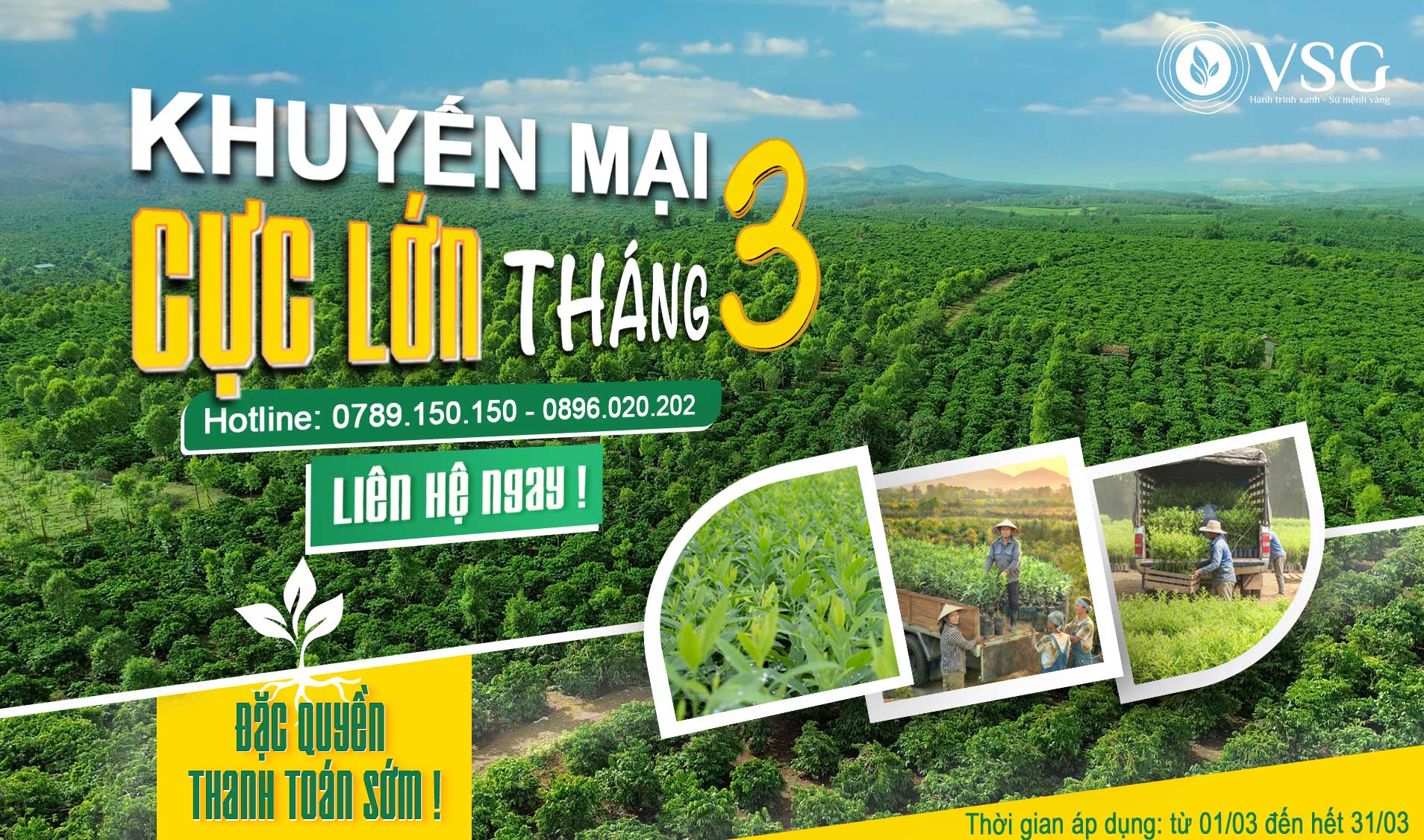 Chương trình ưu đãi: Lì xì Xuân Bính Ngọ 2026 - Vạn Sự Như Ý