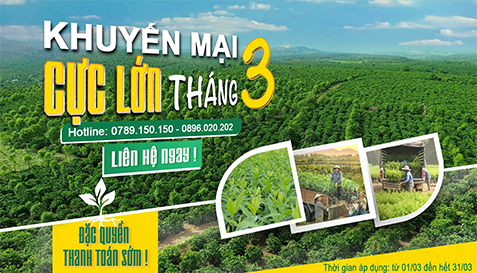 Chương trình ưu đãi: Lì xì Xuân Bính Ngọ 2026 - Vạn Sự Như Ý