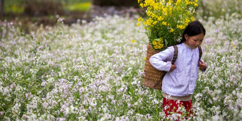 KHÁM PHÁ MẢNH ĐẤT HÀ GIANG XINH ĐẸP CÙNG KHÁCH NHÀ LAH TRAVEL