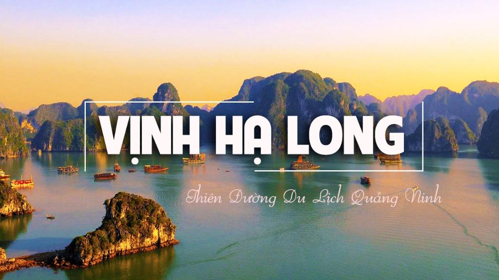TOUR DU LỊCH HẠ LONG 2 NGÀY 1 ĐÊM NGỦ TÀU COZY 3 SAO