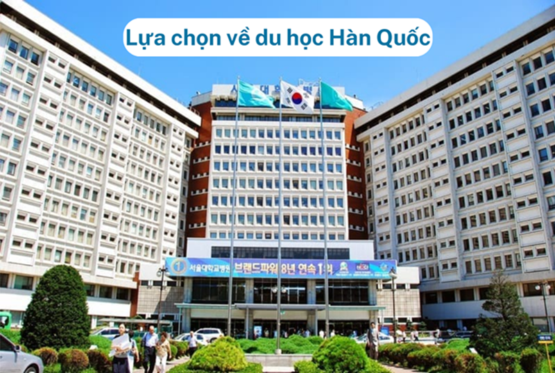 Một số lựa chọn về du học Hàn Quốc