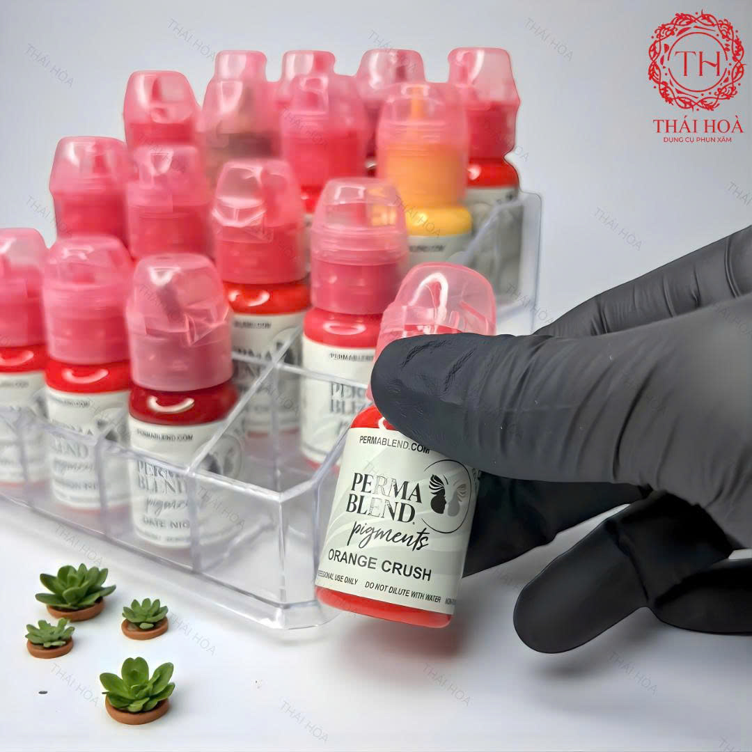Mực Perma Blend – Dòng Mực Bất Ngờ Tạo Chuẩn Màu Mới Trong Ngành Phun Xăm Thẩm Mỹ