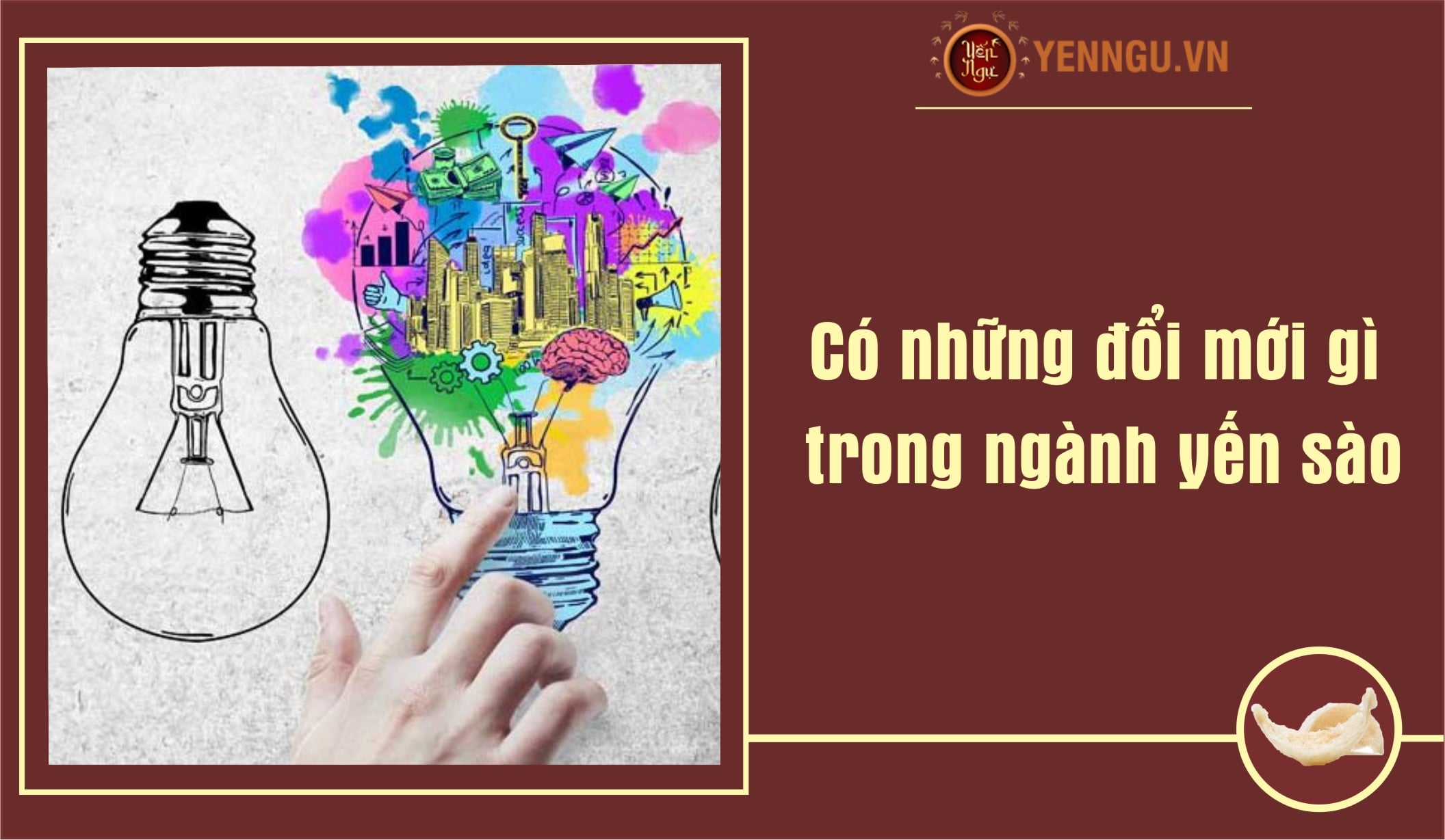Có những đổi mới gì trong ngành yến sào