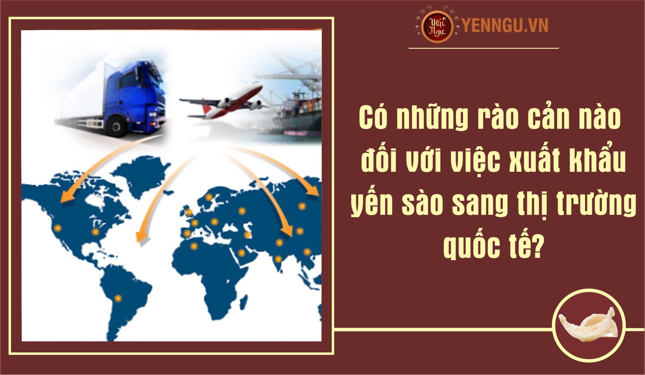 Có những rào cản nào đối với việc xuất khẩu yến sào sang thị trường quốc tế?