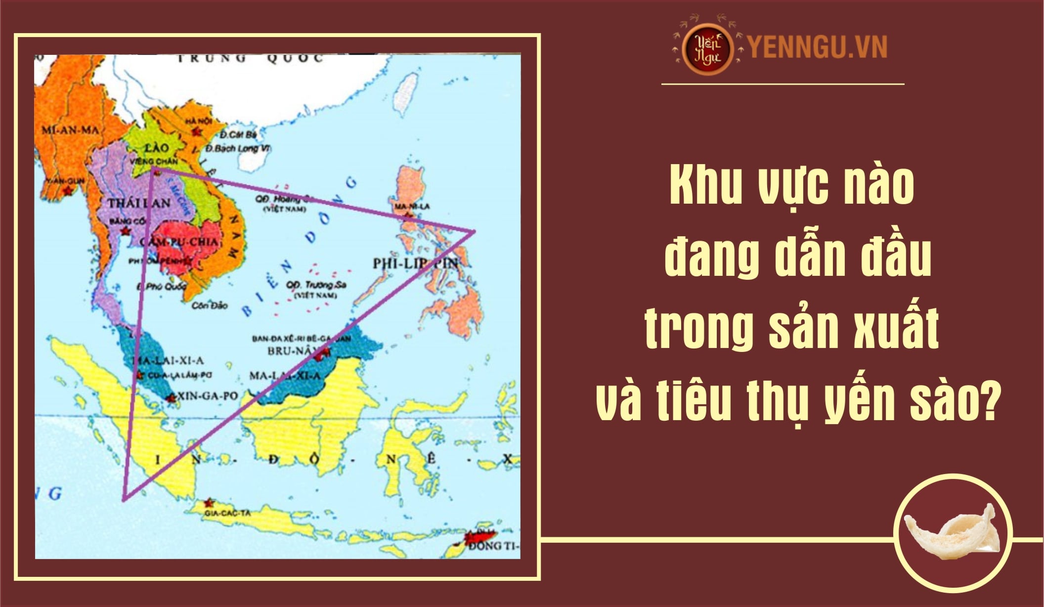 Khu vực nào đang dẫn đầu trong sản xuất và tiêu thụ yến sào?