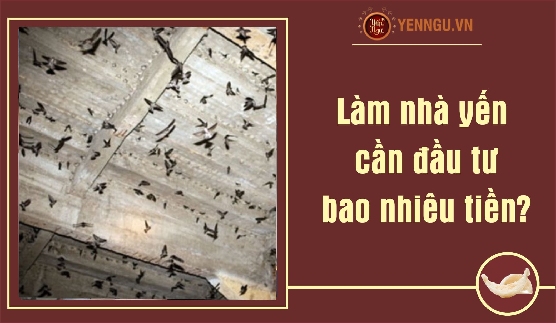 Làm nhà yến cần đầu tư bao nhiêu tiền?