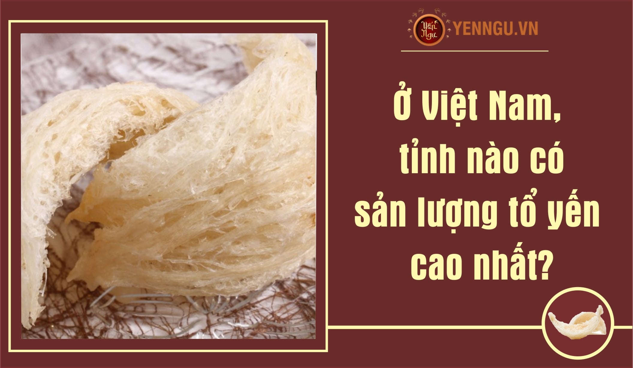 Ở Việt Nam, tỉnh nào có sản lượng tổ yến cao nhất?
