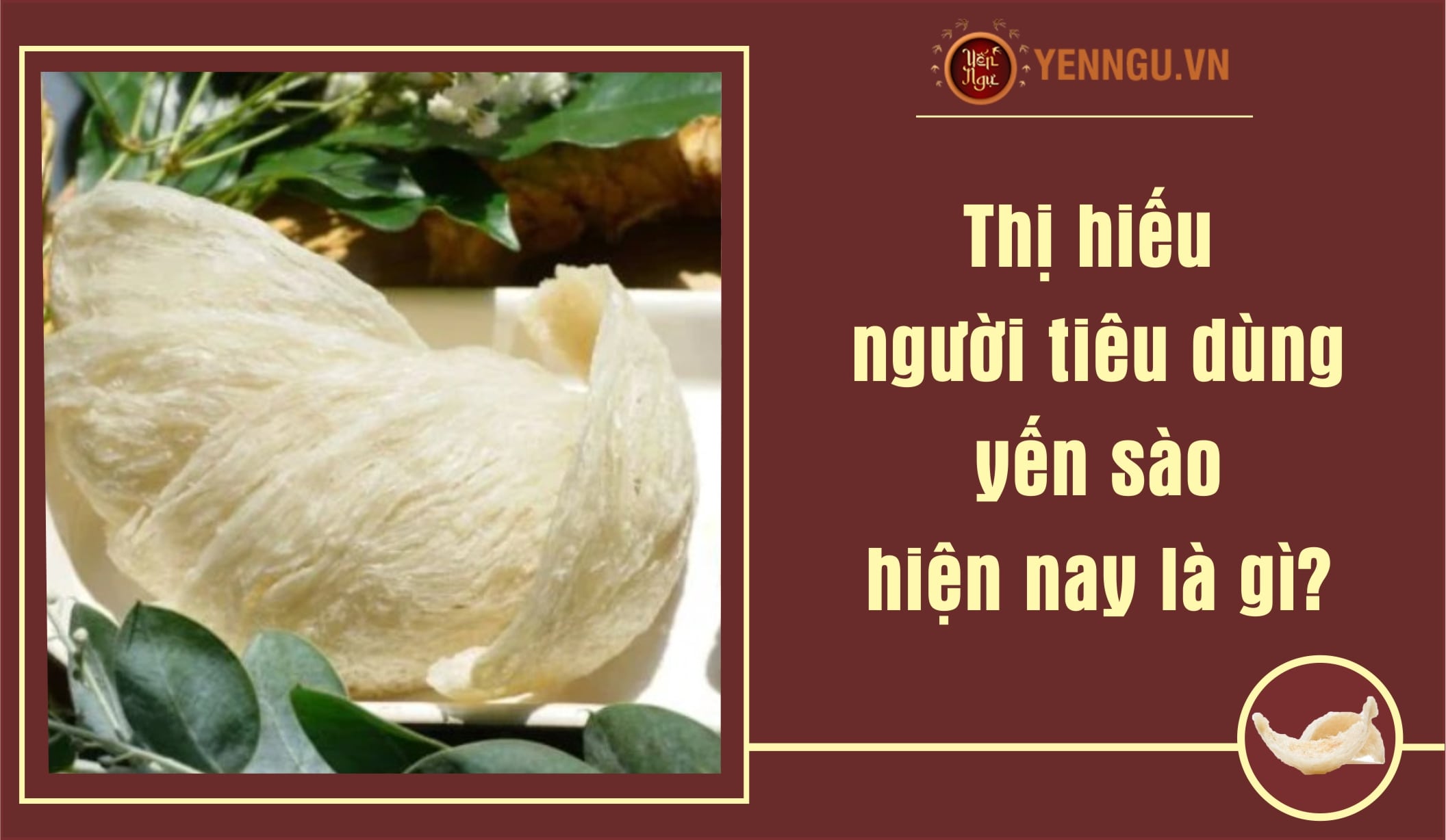 Thị hiếu người tiêu dùng yến sào hiện nay là gì?